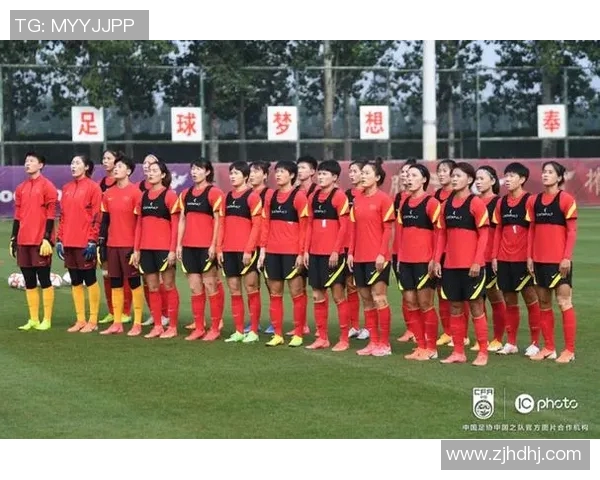 中国队奥运备战进展与整体表现分析评估报告